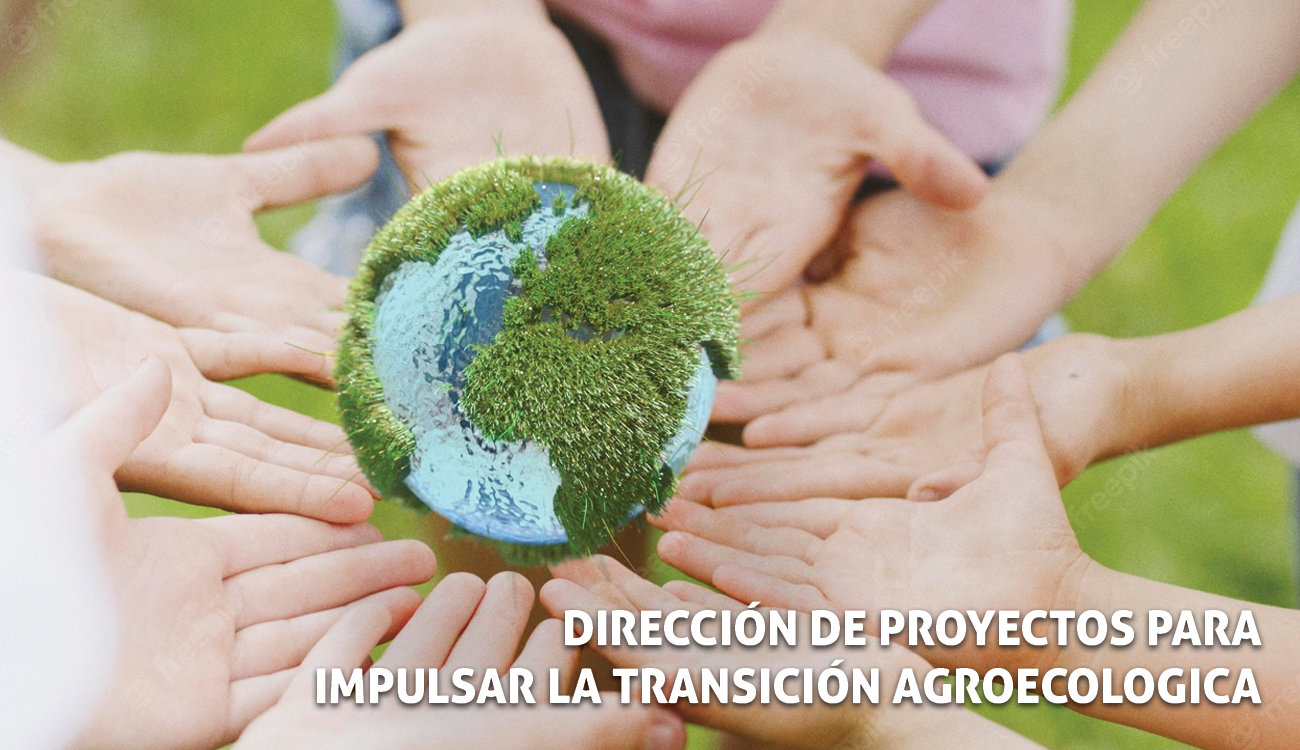 Curso